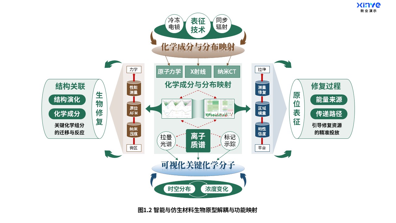 任务模块与阶段成果结构示意