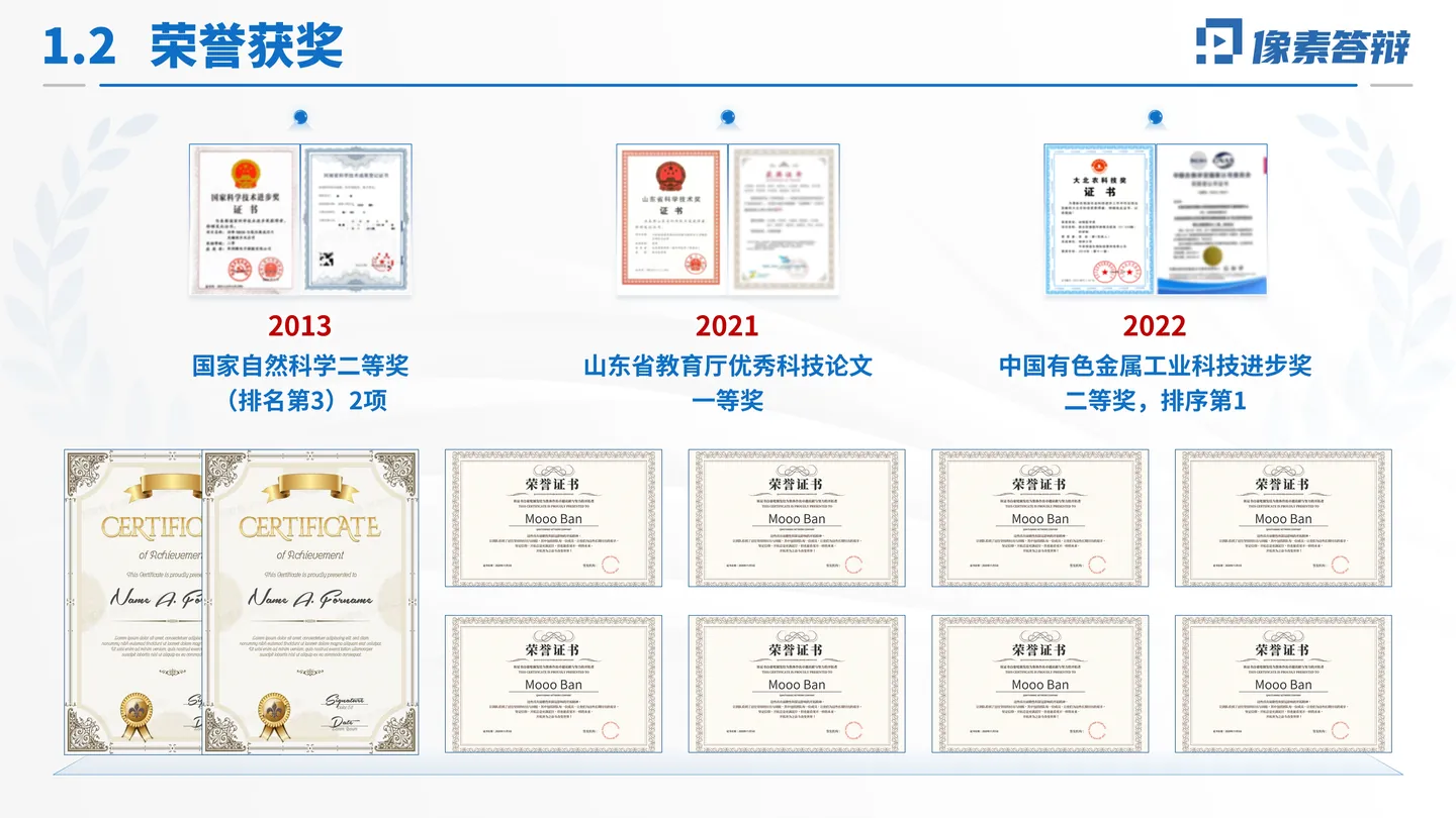 中国科学院院士增选工作汇报PPT模板（流体燃料电池）荣誉与学术影响页面参考