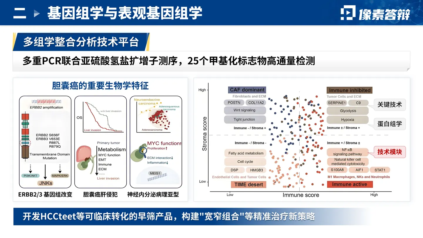 中国抗癌协会科技奖答辩PPT模板(肝胆分子研究)方法路线与创新表达