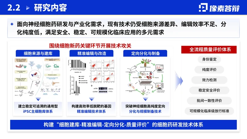 江苏省双创团队答辩PPT模板:新医药研究:研究内容与任务关系