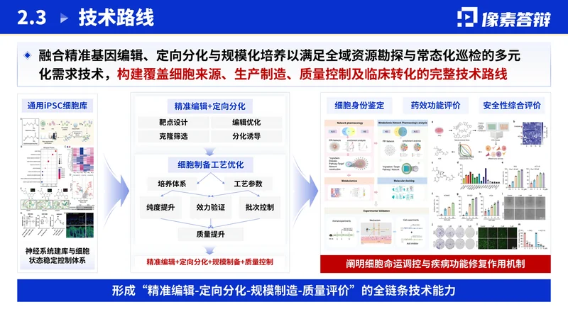 江苏省双创团队答辩PPT模板:新医药研究:总体技术路线