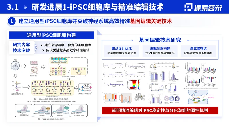 江苏省双创团队答辩PPT模板:新医药研究:关键研究环节