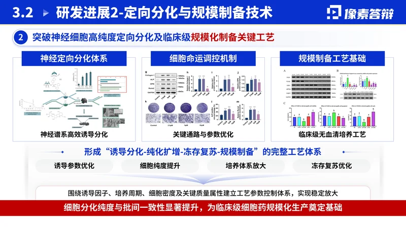 江苏省双创团队答辩PPT模板:新医药研究:工艺与阶段结果表达
