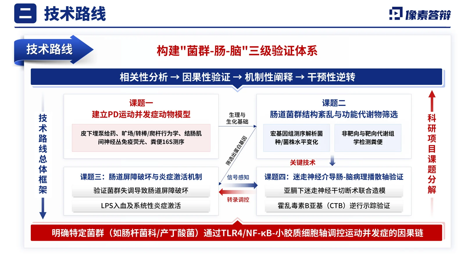 国家重点研发计划医学项目答辩PPT模板关键技术与创新点页参考