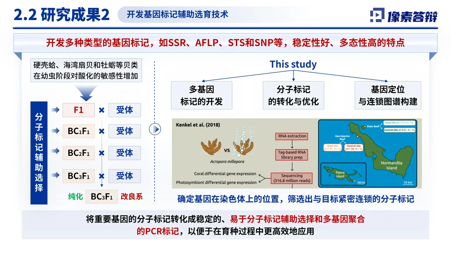 青年科学基金项目（A类）答辩PPT模板（海洋酸化）方法路线与创新表达