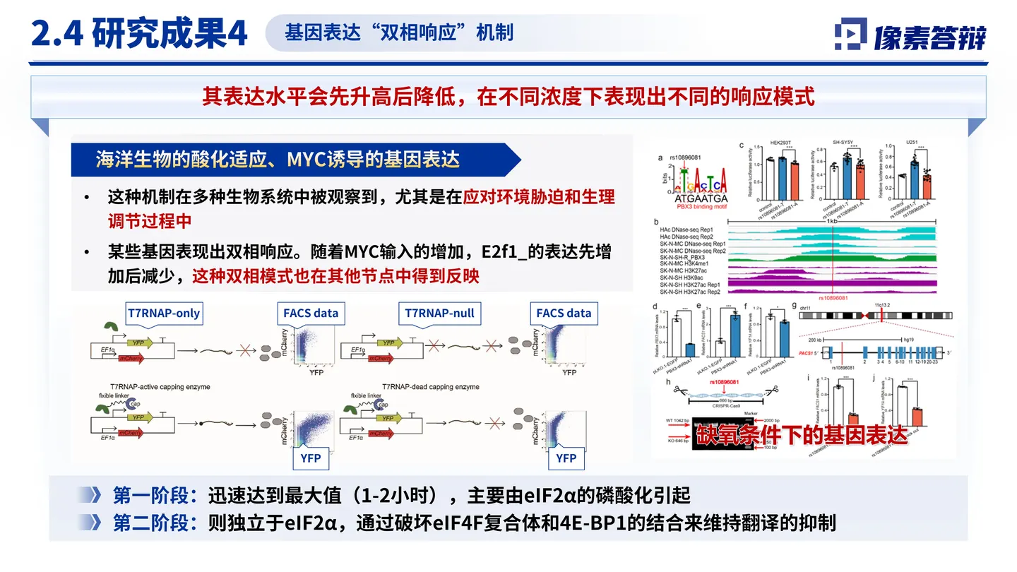 青年科学基金项目（A类）答辩PPT模板（海洋酸化）应用价值或未来计划