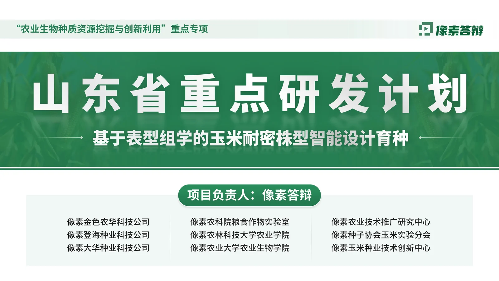 山东省重点研发计划答辩PPT模板与任务分解封面与项目定位页参考