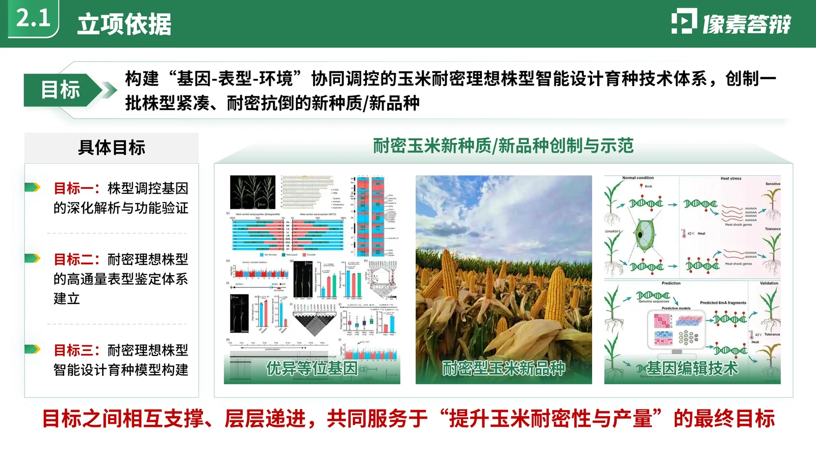 山东省重点研发计划答辩PPT模板与任务分解应用价值或支撑条件页参考