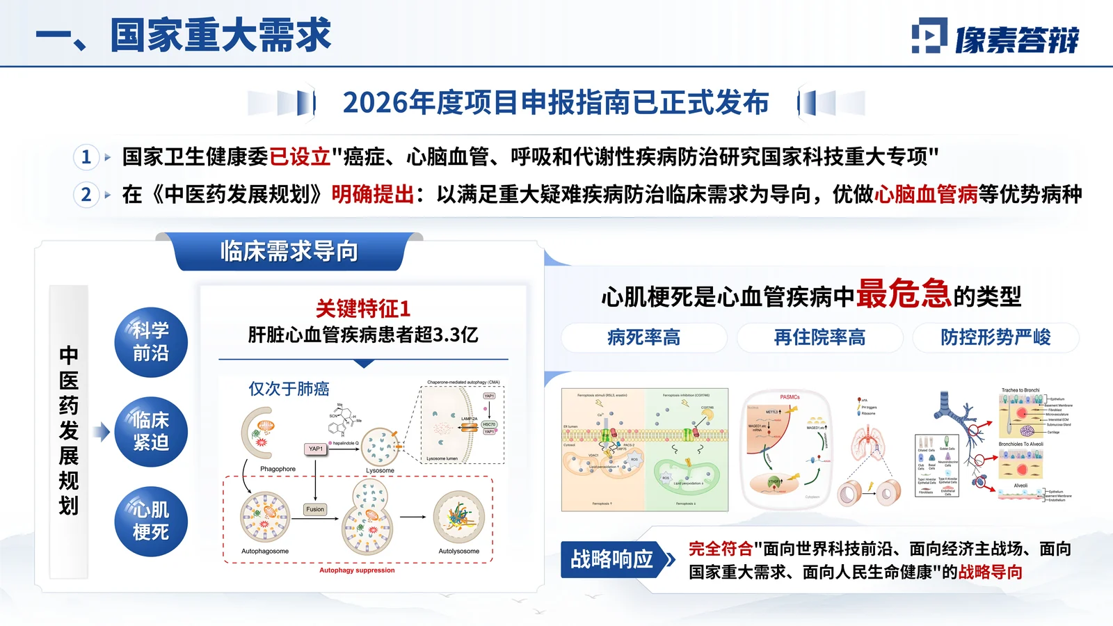 树兰医学奖答辩PPT模板与医学证据链项目背景与核心问题页参考